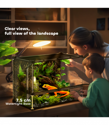 Turtle Cage/ Tortoise House