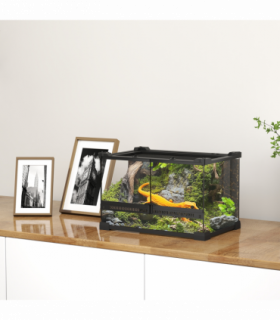 Reptile Glass Terrace