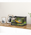 Reptile Glass Terrace