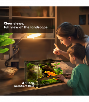 Reptile Glass Terrace