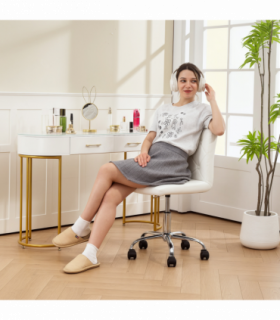 Office Chair/Massage Office Chair