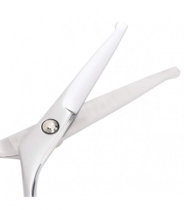 vidaXL 4 Piece Dog Grooming Scissors Set Stainless Steel