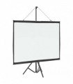 vidaXL Projection Screen with Tripod 72 Inch 4:3