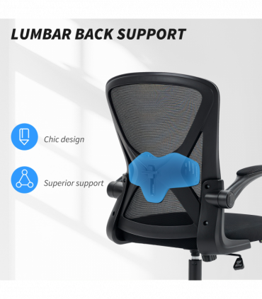 Vinsetto Mesh Office Chair Computer Chair with Lumbar Support, Swivel Wheels