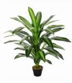 Plastic Green 110cm/3.6FT Artificial Dracaena Tree Decorative Plant 40 Leaves