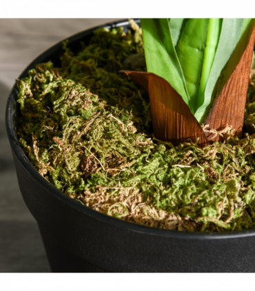 Plastic Green 110cm/3.6FT Artificial Dracaena Tree Decorative Plant 40 Leaves