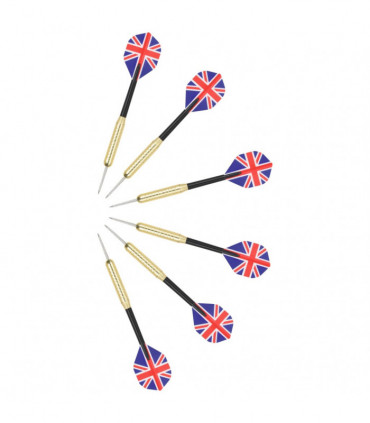 Professional Dart Set with Dartboard and Surround Sisal Steel
