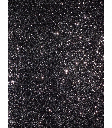 Sequin Sparkle Black sw9