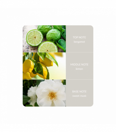 Pink Guardian Angel Reed Diffuser - 70ml - Up to 12 Weeks of Fragrance