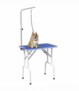 Sturdy Pet Grooming Table - Adjustable Height & Safety Leash - Blue