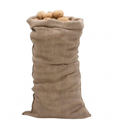 vidaXL Jute Sacks 5 pcs 65x135 cm 100% Jute 220 gsm