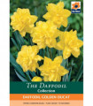 Daffodil 'Golden Ducat' (6 Bulbs)