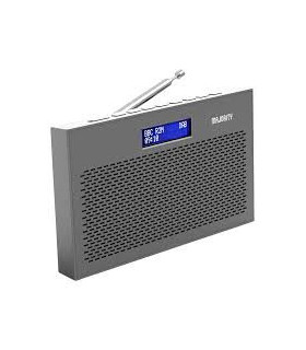 MAJORITY HISTON CHARCOAL