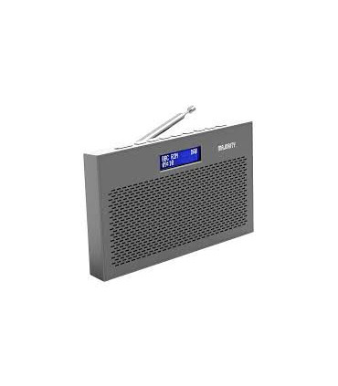 MAJORITY HISTON CHARCOAL