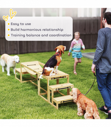 PawHut 3 Pieces Wooden Dog Agility Training Equipment, Natural Wood