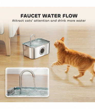 Cat Water Fountain