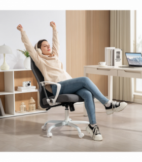 Office Chair/Massage Office Chair