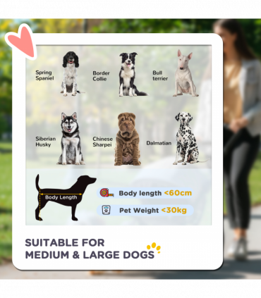 PawHut Foldable Dog Carriage w/ Universal Wheels, Shock Absorber - Grey