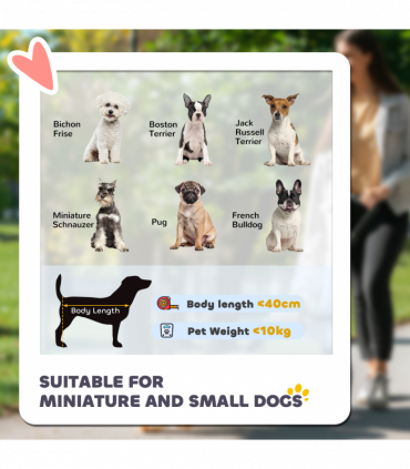 PawHut Foldable Pet Stroller w/ Detachable Carrier, Soft Padding - Grey