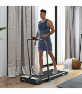 Walking treadmill