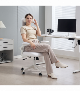 Office Chair/Massage Office Chair