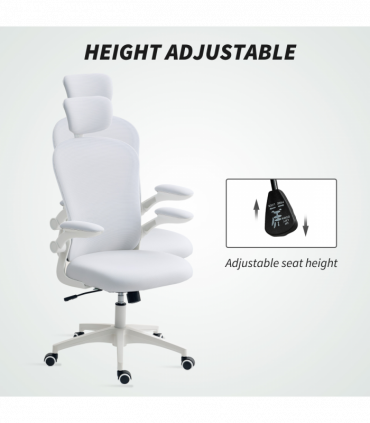 Office Chair/Massage Office Chair