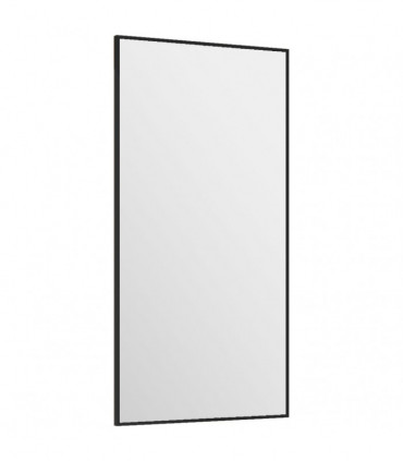 Door Mirror Black 30x60 cm Glass and Aluminium