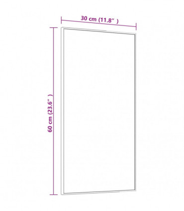 Door Mirror Black 30x60 cm Glass and Aluminium