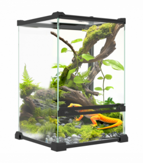 PawHut Glass Reptile Terrarium, 12L Vivarium for Lizards Frogs Snakes Turtles