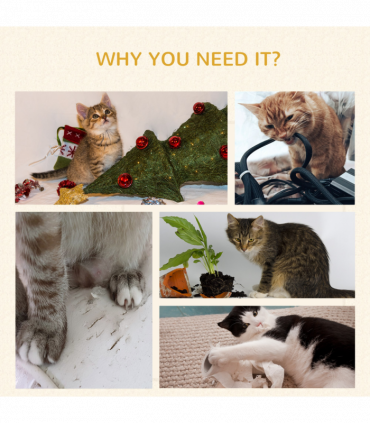 Cat Treadmill, Wooden Cat Running Wheel with Brake, Cat Exercise Wheel