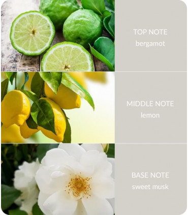 Guardian Angel Essential Oil Blend  - 10ml Concentrated Oil