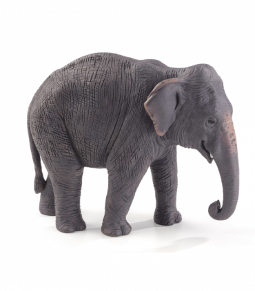 Asian Elephant Toy Figure  Realistic Wildlife Model