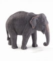 Asian Elephant Toy Figure  Realistic Wildlife Model
