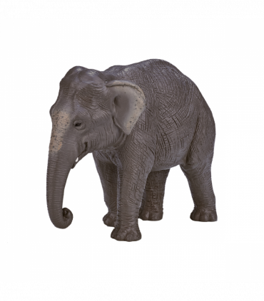 Asian Elephant Toy Figure  Realistic Wildlife Model