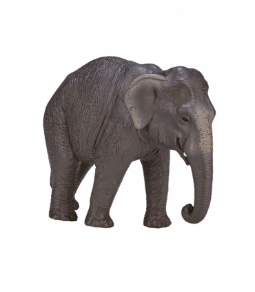 Asian Elephant Toy Figure  Realistic Wildlife Model