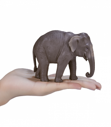 Asian Elephant Toy Figure  Realistic Wildlife Model