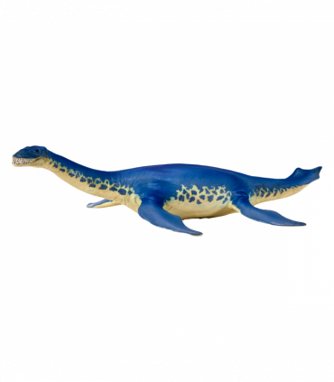 Cryptoclidus Dinosaur Toy  Prehistoric Marine Reptile
