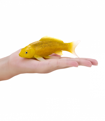 Koi Carp Kin Matsuba  Realistic Fish Figurine