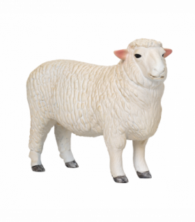 Romney Sheep Ram Toy  Realistic Farm Animal Figurine