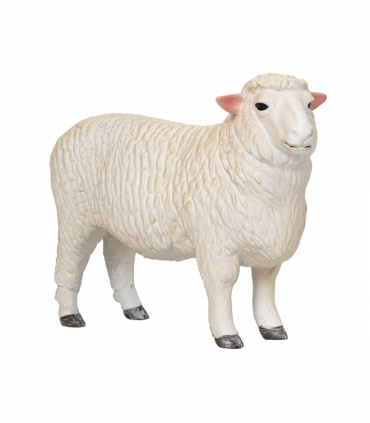 Romney Sheep Ram Toy  Realistic Farm Animal Figurine