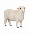 Romney Sheep Ram Toy  Realistic Farm Animal Figurine