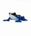 Poison Dart Frog Blue Toy  Realistic Rainforest Amphibian