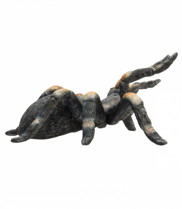 Red-Kneed Tarantula Toy  Realistic Spider Figurine