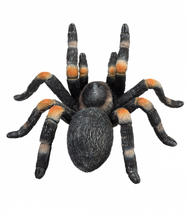 Red-Kneed Tarantula Toy  Realistic Spider Figurine