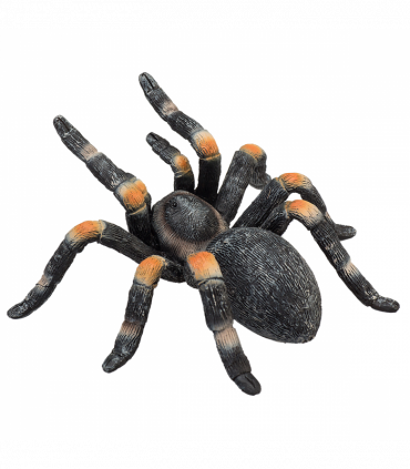 Red-Kneed Tarantula Toy  Realistic Spider Figurine