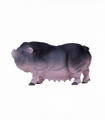 Pot-Bellied Pig Toy  Realistic Farm Animal Figurine