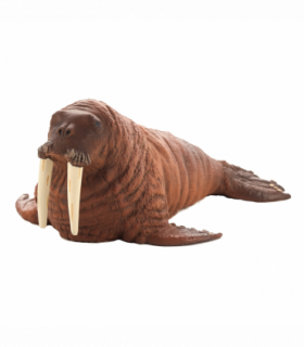 Walrus Toy  Realistic Arctic Wildlife Figurine