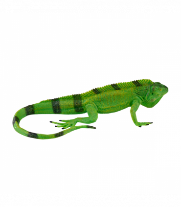 Iguana Toy  Realistic Reptile Figurine