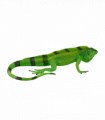Iguana Toy  Realistic Reptile Figurine