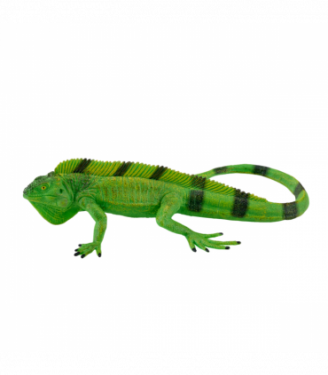 Iguana Toy  Realistic Reptile Figurine